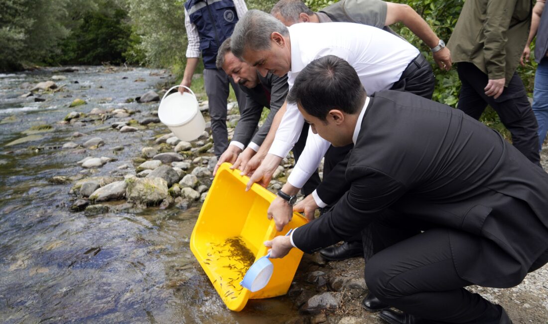 Gümüşhane Valisi Sayın Aydın Baruş, Torul ilçesinde bulunan Çit Deresi’nde