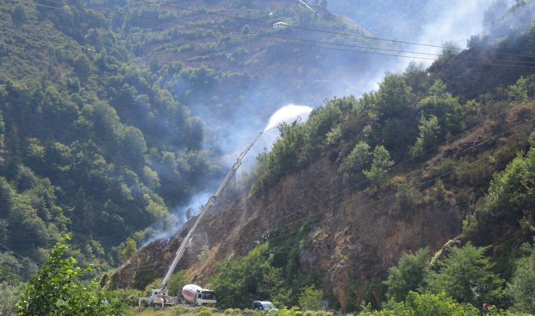 Fındıklık alanda başlayan yangına Orman İşletme Müdürlüğü, itfaiye ekipleri, çevre