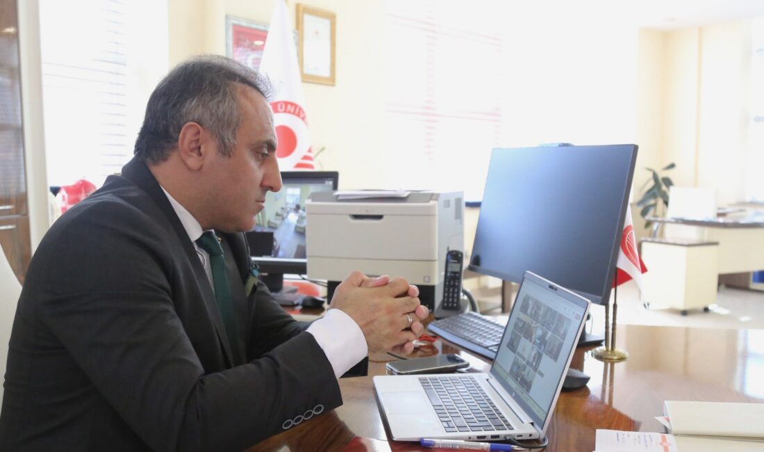 Doğu Karadeniz Projesi Bölge Kalkınma İdaresi Başkanlığı (DOKAP) bünyesinde faaliyetlerini