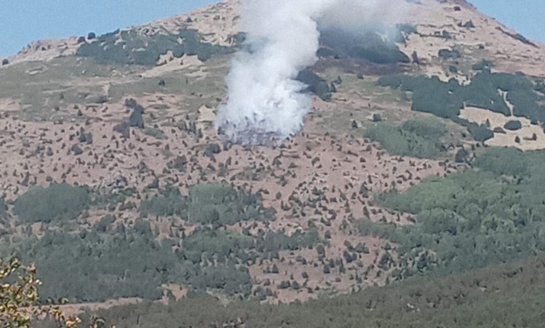 Gümüşhane’nin Şiran ilçesinde bulunan Akbulak köyü yaylasında öğle saatlerinde çıkan