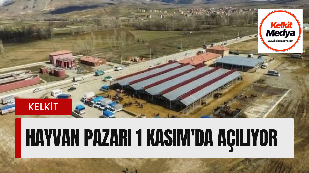 Kelkit’te şap hastalığı nedeniyle bir süredir kapalı olan Hayvan Pazarı,