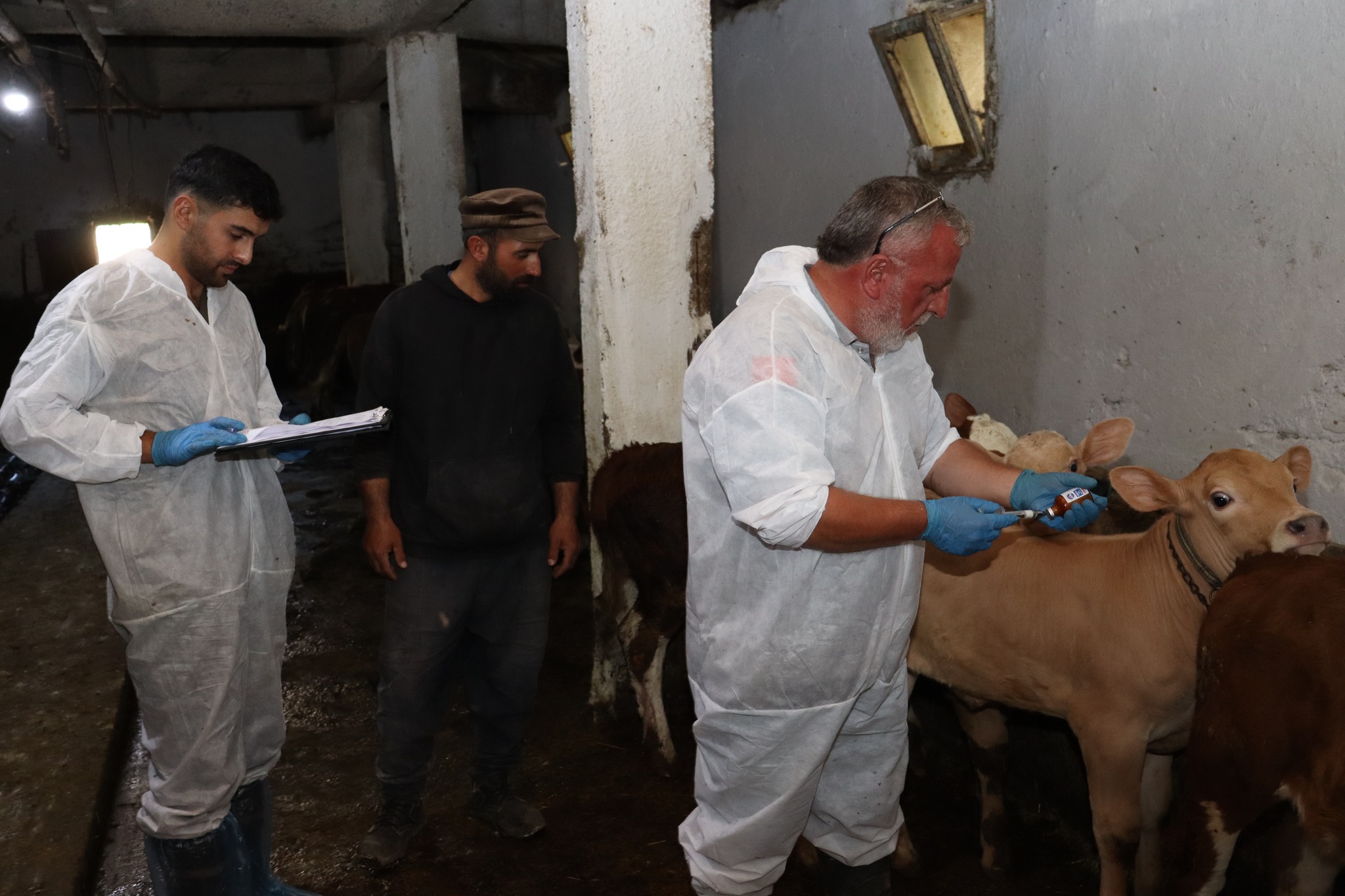 Gümüşhane İl Tarım ve Orman Müdürlüğü tarafından yürütülen Sonbahar Şap