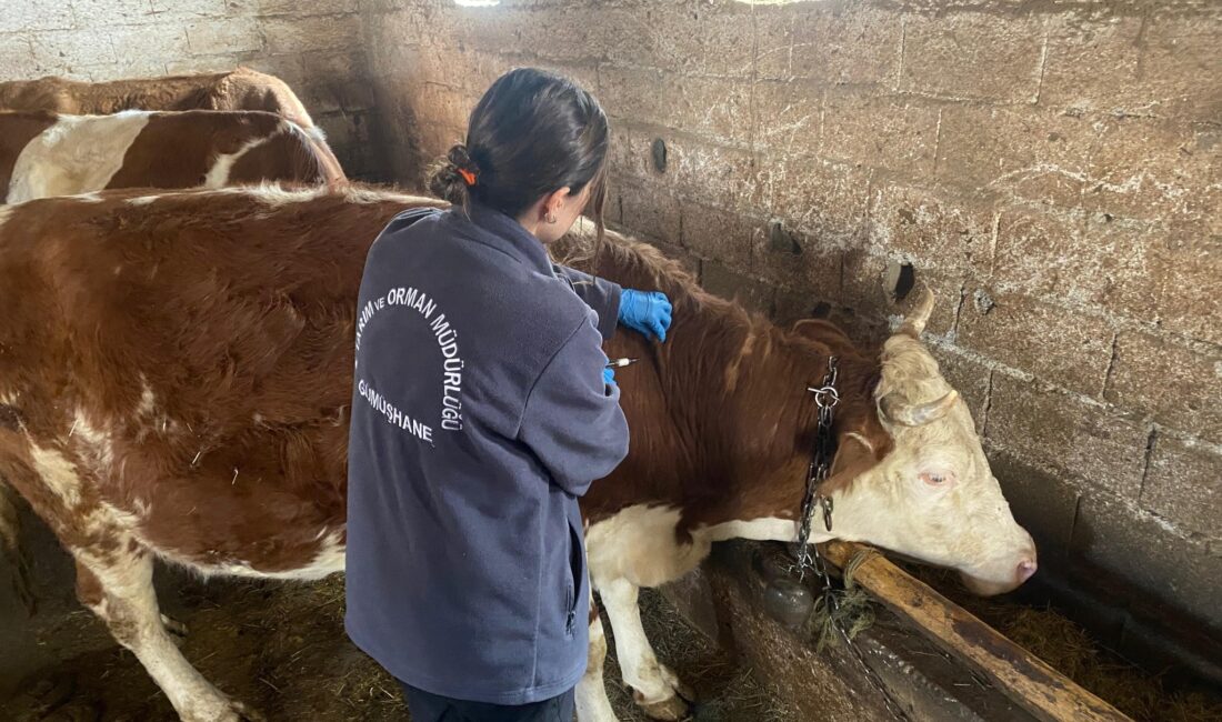 Gümüşhane İl Tarım ve Orman Müdürlüğü, hayvan sağlığını korumak ve