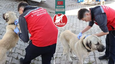 Gümüşhane İl Tarım ve Orman Müdürlüğü, 5199 sayılı Hayvanları Koruma