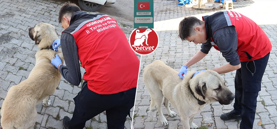 Kedi ve Köpeklerde Dijital Kimliklendirme İçin Son Tarih Yaklaşıyor Gümüşhane İl Tarım ve Orman Müdürlüğü, 5199 sayılı Hayvanları Koruma