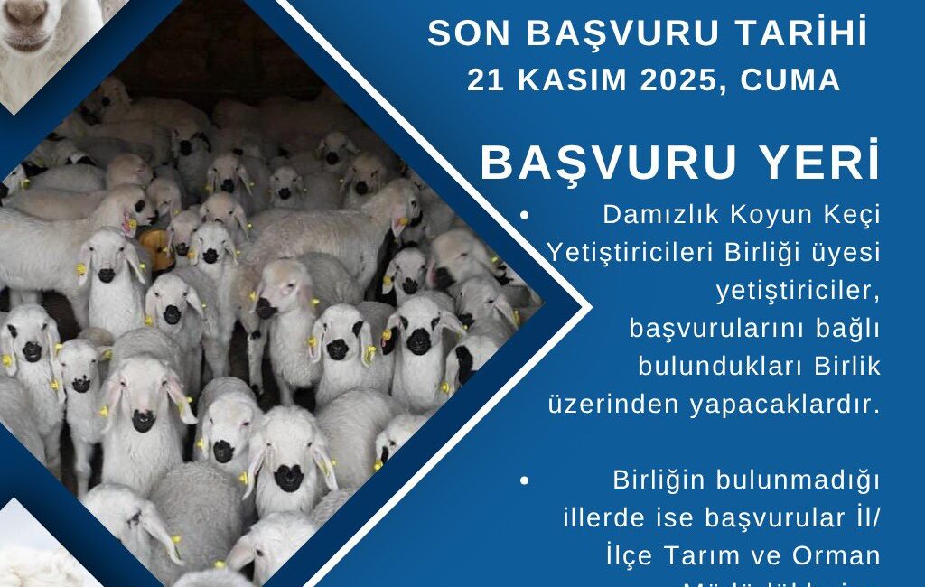 Gümüşhane İl Tarım ve Orman Müdürlüğü, 2024 yılı 3. dönem
