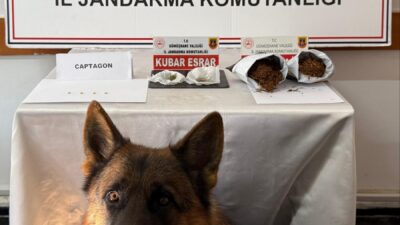 Gümüşhane İl Jandarma Komutanlığı Kaçakçılık ve Organize Suçlarla Mücadele Şube