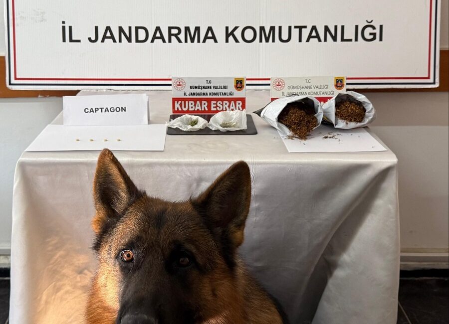 Gümüşhane İl Jandarma Komutanlığı Kaçakçılık ve Organize Suçlarla Mücadele Şube