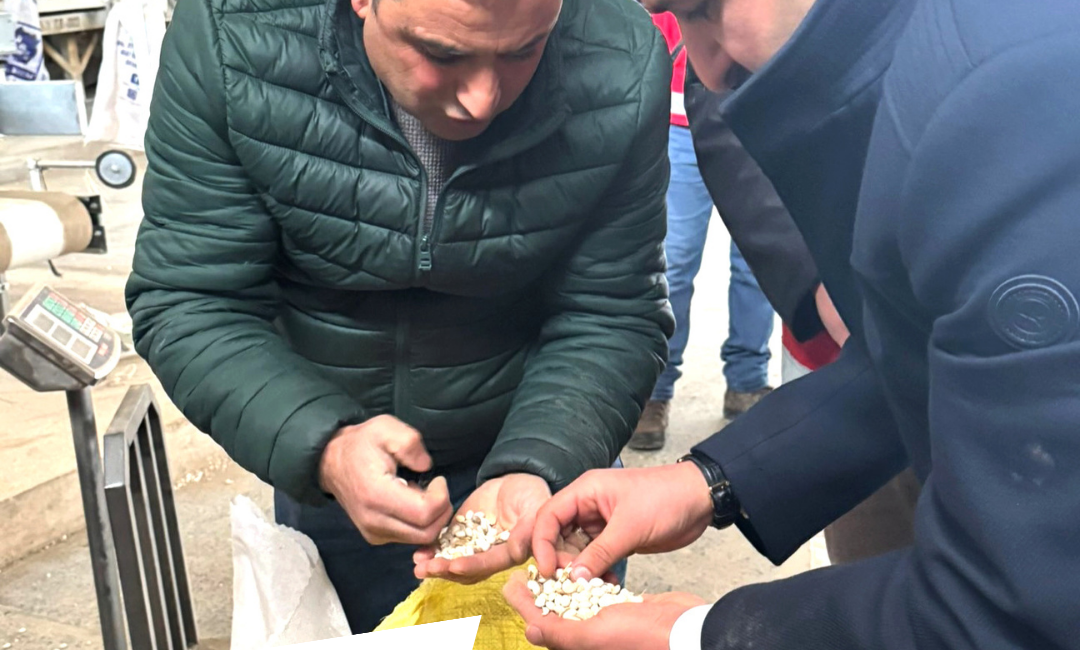 Kelkit Şeker Fasulyesi İhracata Uğurlandı Kelkit Kaymakamı Mahmut Sami Yılmaz, İlçe Tarım ve Orman Müdürü