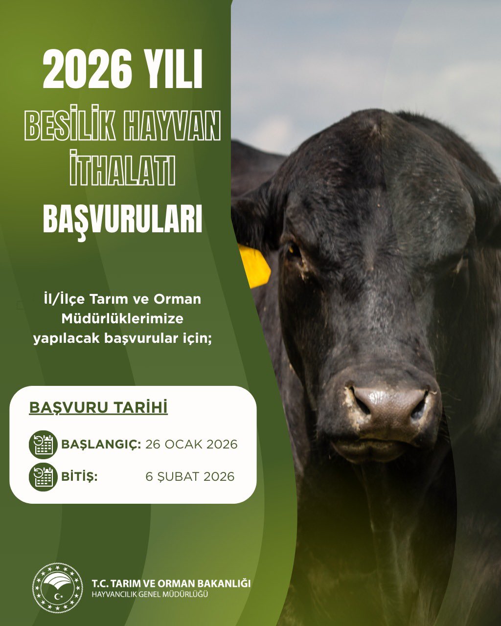 2026 yılı besilik hayvan ithalatı başvuruları, işletmelerin işletme kapasitelerini henüz