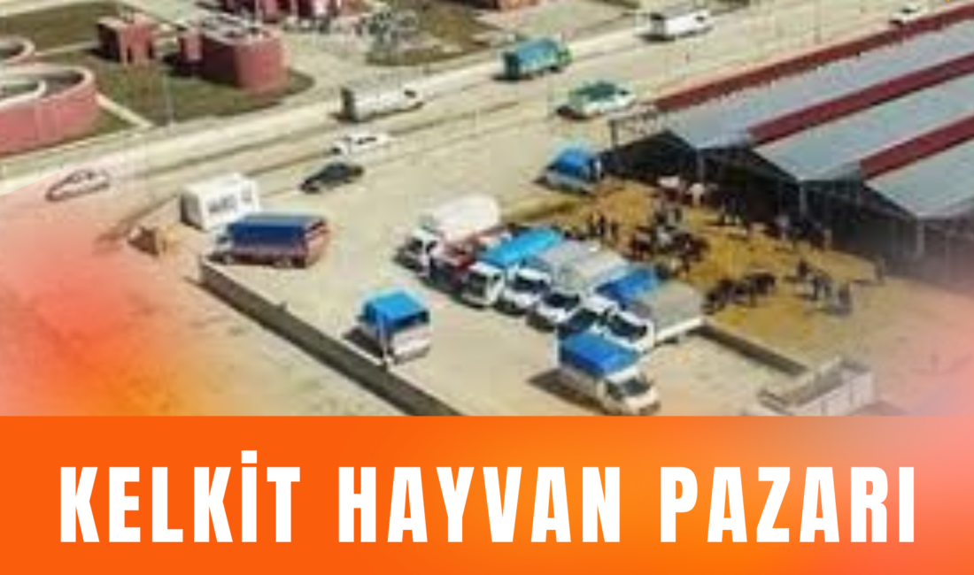Kelkit Hayvan Pazarı Bayramda Kapalı Olacak Kelkit Hayvan Pazarı, Ramazan Bayramı dolayısıyla Cumartesi günü kapalı olacak.