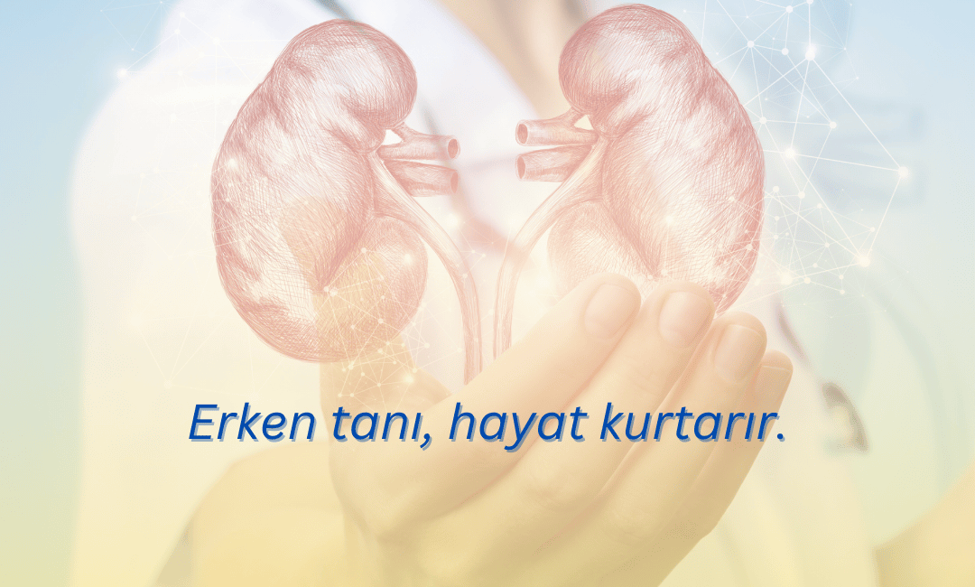 12 Mart Dünya Böbrek Günü dolayısıyla Kelkit İlçe Sağlık Müdürlüğü