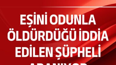 Gümüşhane'nin Torul ilçesinde meydana gelen olayda, 27 yaşındaki Halis Pekin'in,