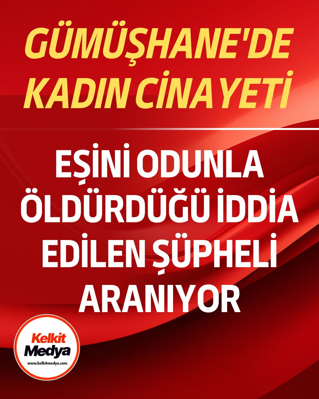 Gümüşhane'nin Torul ilçesinde meydana gelen olayda, 27 yaşındaki Halis Pekin'in,